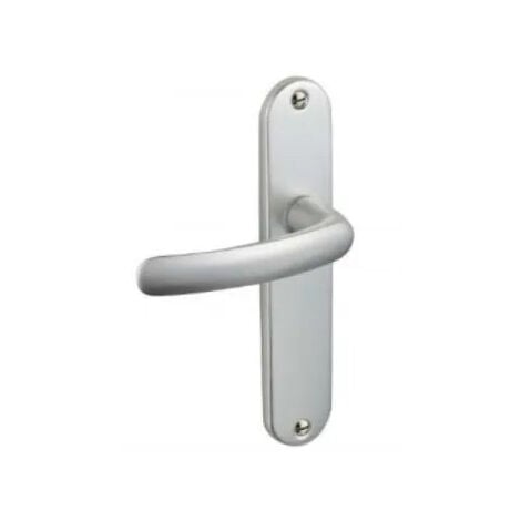 Poignées de porte Budget avec plaque en argent, entraxe 165 mm, bec de canne