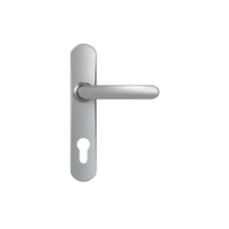 Poignées de porte avec plaque, entraxe 195 mm, clé I, chromées miroir (1/5)