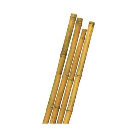 Tutore Canna Bamboo Mm 22/24 H.Cm 180 - Conf. 10 Pz