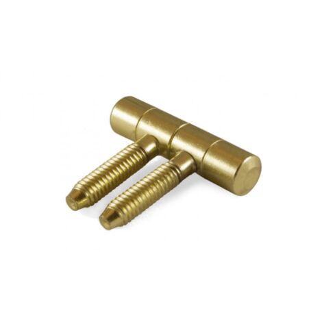 Cerniera per Porta Anuba Maschio/Femmina Ottonata Misura 14 mm 2pz (1/3)