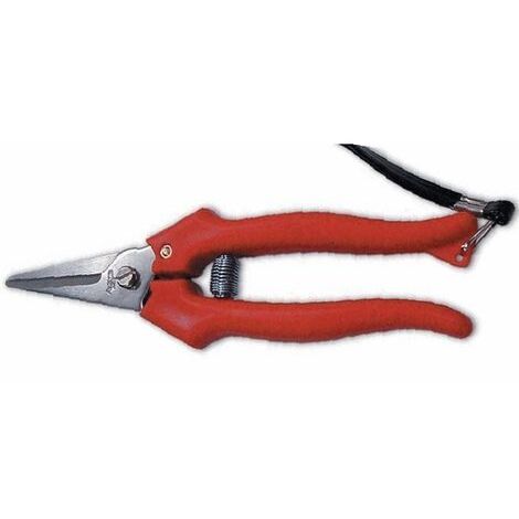 Forbici cogliuva per vendemmia Ausonia art. 31326 190 mm Lama Acciaio Inox (1/2)