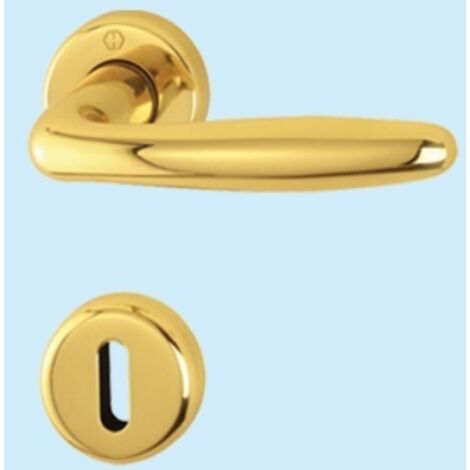MANIGLIE HOPPE ROISSY CON ROSETTA M1941/88/88S MANIGLIA PORTE FINESTRE (1/3)