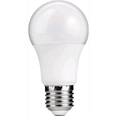 X10 Lampadina led E27 globo G95 12W attacco grande luce bianca