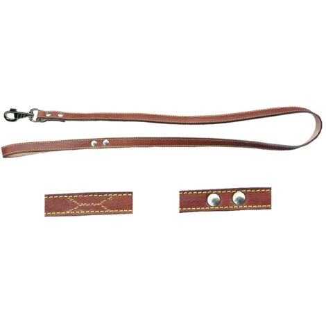 Guinzaglio Per Cane Larg. Mm 18 Lung. Cm 100 Con Rivetti - Con Moschettone (1/2)