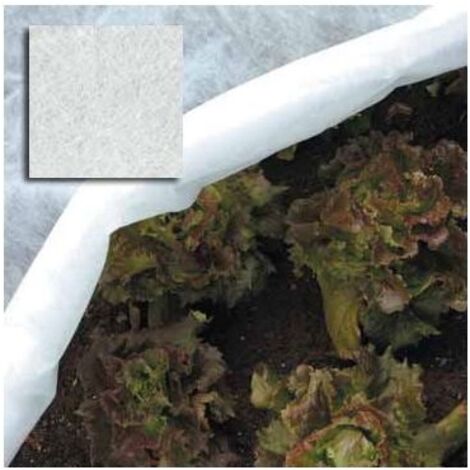 TELO PROTEZIONE ORTAGGI ROTOLO TNT H1,6X250MT PAPILLON