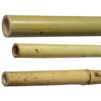 Canne In Bamboo H210 Cm. Diam. 24/26 Mm. Conf. 25Pz