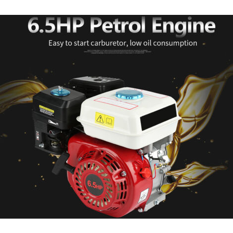 GROOFOO 6.5HP 4-Stroke Gasoline Engine, Universal Petrol Engine, 4.8KW Replacement Engine, 168F OHV 20mm 3.6L Petrol Engine for Machine Pump Industry