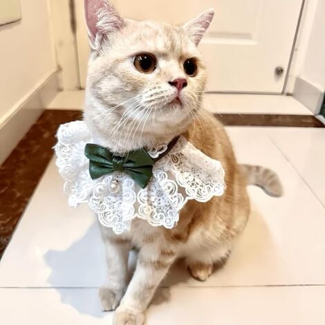 Cute Cat Bow Collar Breakaway Floral Aesthetic Cats Bowtie Collar Bow Tie with Bell for Indoor Cats Kitten and Small Dogs Puppies (Blue, S (4-7lbs))