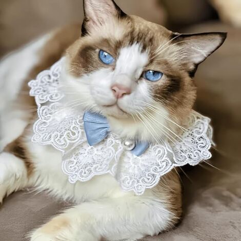 Cute Cat Bow Collar Breakaway Floral Aesthetic Cats Bowtie Collar Bow Tie with Bell for Indoor Cats Kitten and Small Dogs Puppies (Blue, S (4-7lbs))