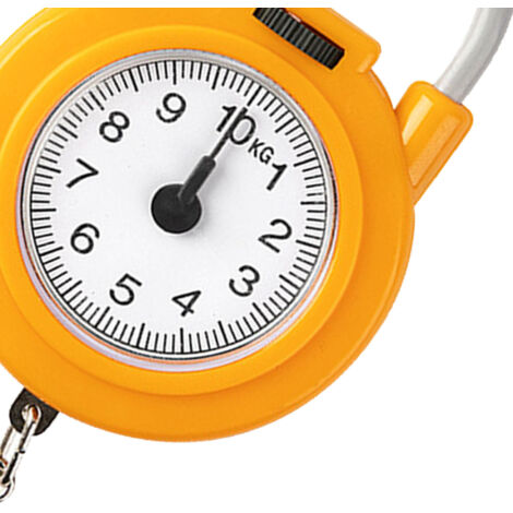 Handheld Scale High Accuracy Portable Kitchen Spring Scale 22lb Load ...