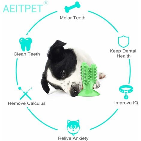 Dog cleaning best sale teeth toy