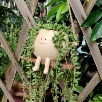 Swing Face Planter Pot Leuke Hangende Harsbloemhoofd voor binnen