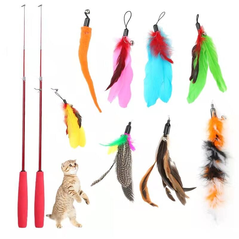 RHAFAYRE Juguete de plumas para gatos, 10 piezas de juguetes para gatos, juguetes de plumas, juguete para gatos, 2 cañas de pescar retráctiles con 8 recambios, Interacti para gatos y gatitos de interior