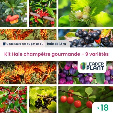 Kit Haie Champêtre Gourmande - 9 variétés - Lot de 18 godets et pot de 1 L