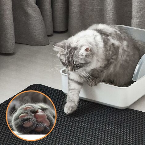 Double cat best sale litter mat