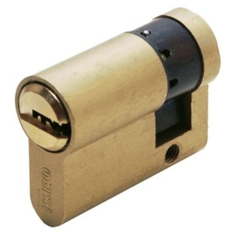 ISEO Cilindro Seguridad Leva Larga 30X10MM Laton Laton R6