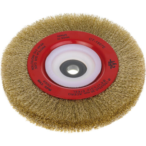 JAZ cepillo circular jaz ct 5h.200x0,30x99 , 0UNIDADES , JAZ cepillo circular jaz ct 5h.200x0,30x99 , 0UNIDADES