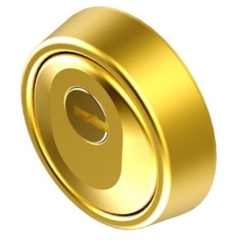 Escudo cilindro Ø 65x24/17mm hoplon acero mac.carbonitru bic