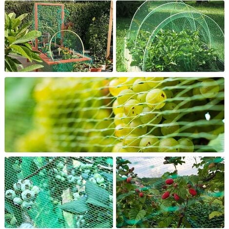 RHAFAYRE Rete Anti-Uccelli, Rete da Giardino Verde 2x5m, Rete di Protezione  per Reti per Piante, Proteggi Piante, Frutta, Fiori e Verdure, 4 Pezzi