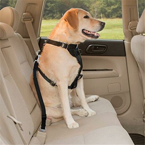 Cintura di sicurezza per auto per cani Ripstop regolabile, 2 pezzi di  imbracatura per seggiolino auto
