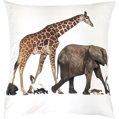 Taie d'oreiller percale de coton NOÉ 65x65 cm (1/5)