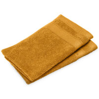 Lot de 2 serviettes invités NAÏA