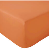 Drap housse en percale de coton uni PASSION PERCALE Bonnet de 40 cm 180x200 cm