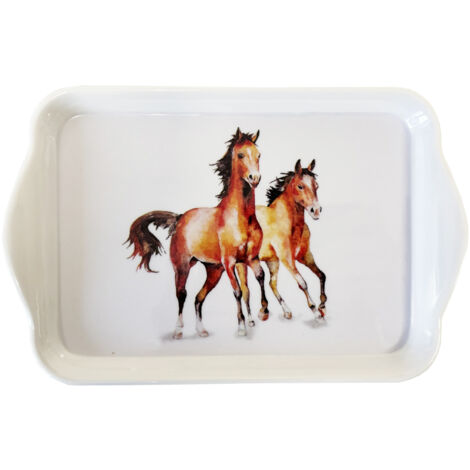 Mini plateau vide poche 20.5 x 13.5 cm - chevaux (1/2)