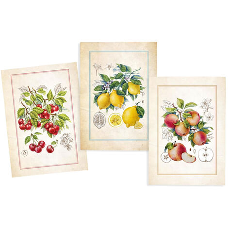 Lot de 3 Torchons en Coton Sergé - fruits