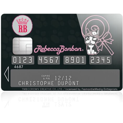 CARTE DE CRÉDIT Id Carte De Cas Protéger Le Support De Carte De Visite