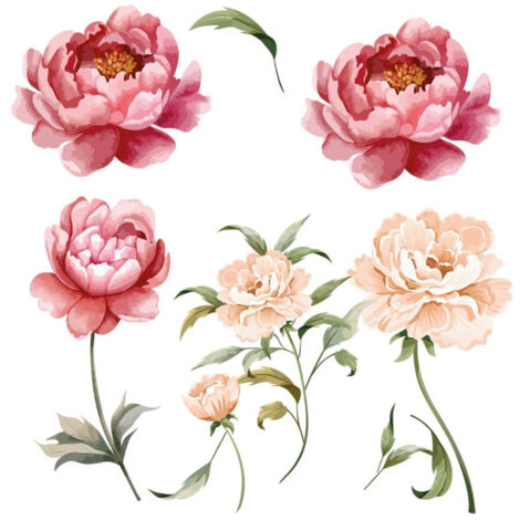 Autocollant Mural flleurs pivoines (1/2)