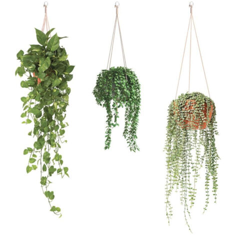 Sticker mural suspensions de plantes (1/2)