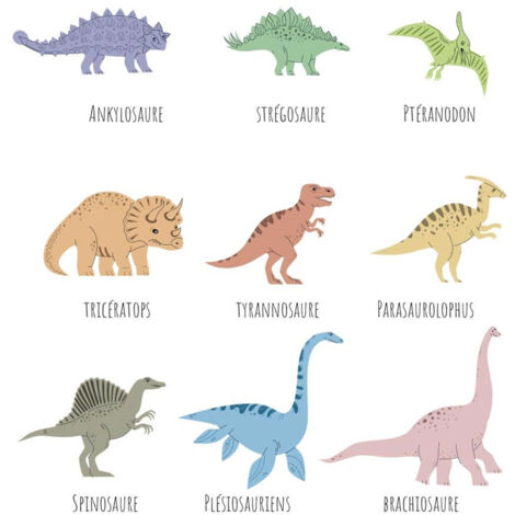 Autocollant mural abécédaire multicolore pour enfants – Dimensions 56x55 cm – Facile à installer sur surfaces lisses – Sud Trading