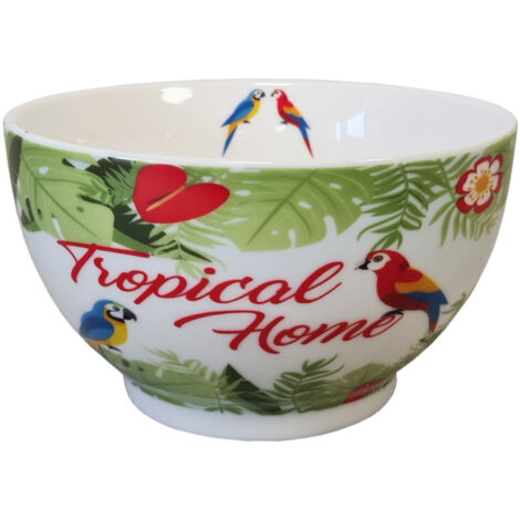 Bol en Porcelaine Tropical 480 ml (1/2)