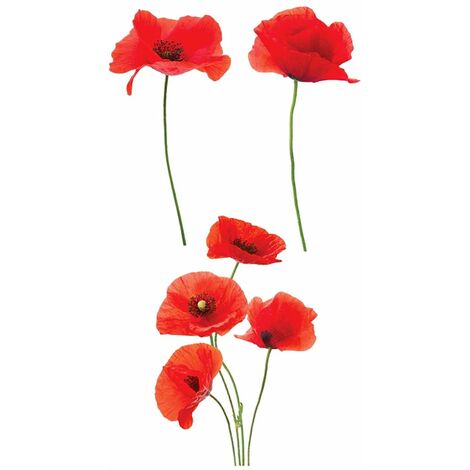 Autocollant pour vitres coquelicots (1/2)