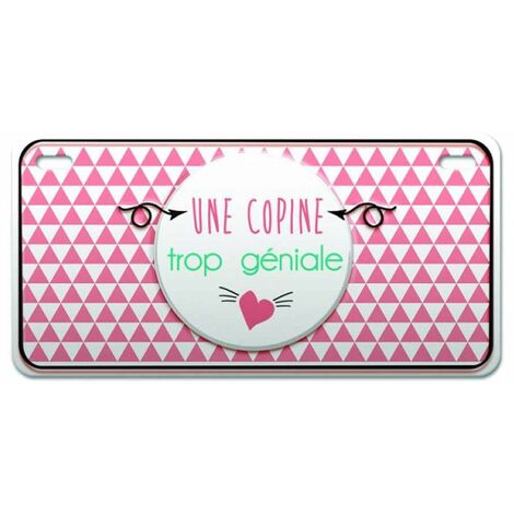 Magnet Une copine trop géniale en Métal (1/2)