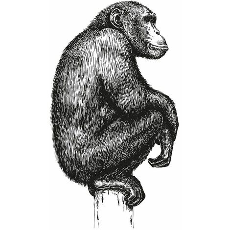 Sticker Mural CHIMPANZE (1/2)
