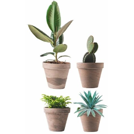 Autocollant de vitre pots de plantes (1/3)