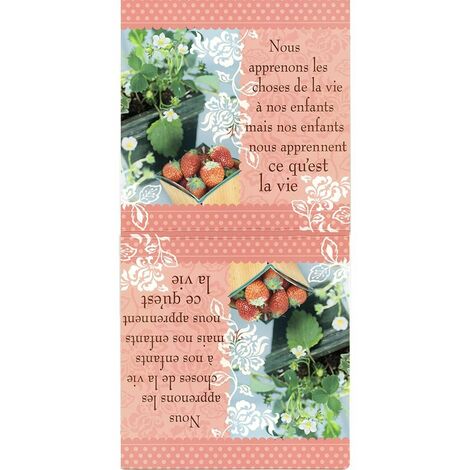 Torchon microfibre à message 70 x 35 cm (1/2)