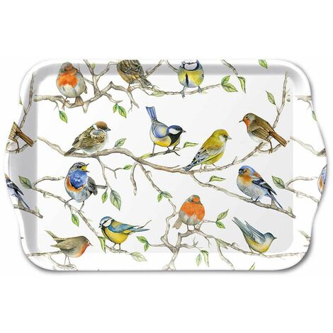 Réunion d'oiseaux - Mini plateau vide poche rectangulaire (1/2)