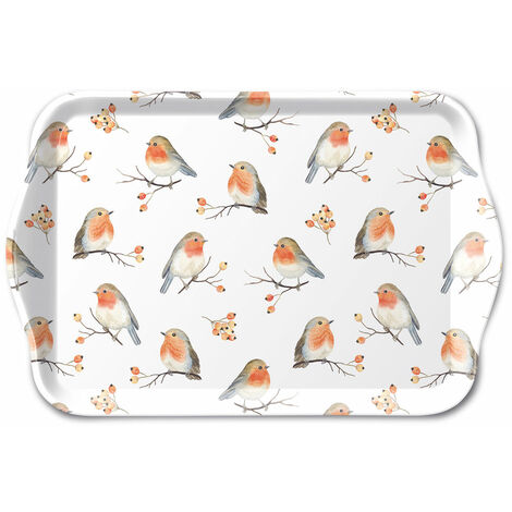 Mini plateau vide poche rectangulaire Robin Family (1/2)