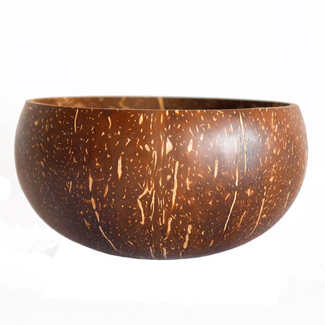 Bol à Eau Exo Terra Tiki Noix De Coco - Décoration Réaliste Pour Terrarium, Facile à Nettoyer, Surface Non Poreuse