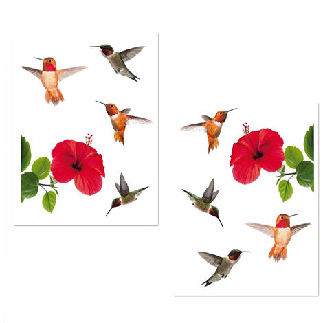 Adhésifs de vitres Hibiscus et colibris (1/3)