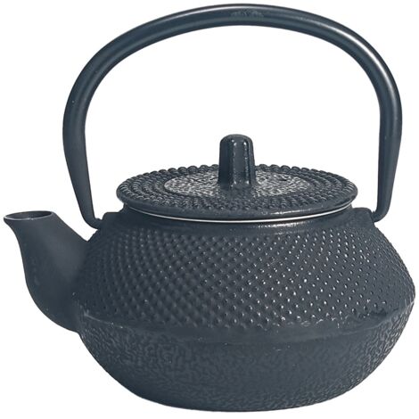 Petite théière de type japonaise noire en fonte 0.3 litre (1/4)