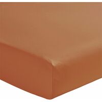 Drap housse Ecureuil en percale de coton 80 fils 140 x 190 cm