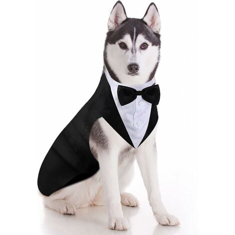 carpintero Discutir No haga Conjunto de esmoquin para perro y bandana, esmoquin formal, traje de fiesta de  boda, pajarita de