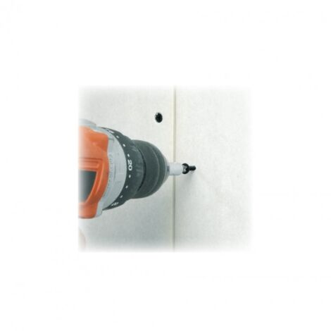 Vis autoperceuse trompette et pointe clou NF PLACO TTPC Ø 10 x 70 mm 300 pces