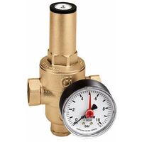 Cartuccia Di Ricambio CALEFFI Per Riduttori Di Pressione 5360, 5362, 5365, 5366 - Facile Da Sostituire