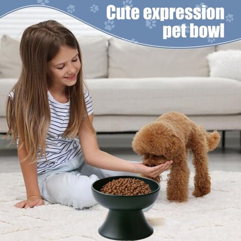 Bol en céramique pour animaux de compagnie bol pour chat à pieds hauts protège la colonne cervicale ustensiles de nourriture pour chat en céramique noir