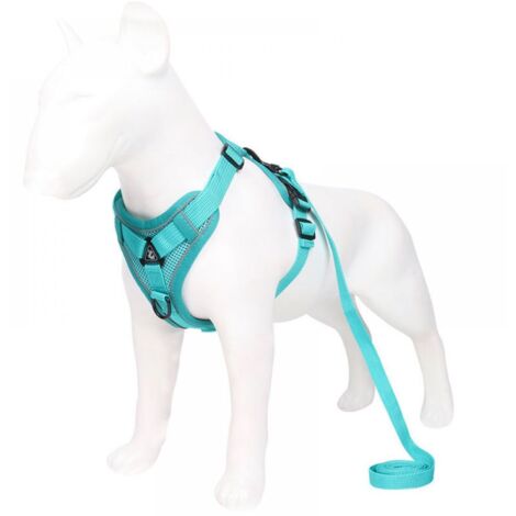 Harnais réglable Anti-éclatement pour Chat avec Laisse - Harnais Souple pour Chat - Harnais de Poitrine pour Chat - Chiot - Lac Bleu S